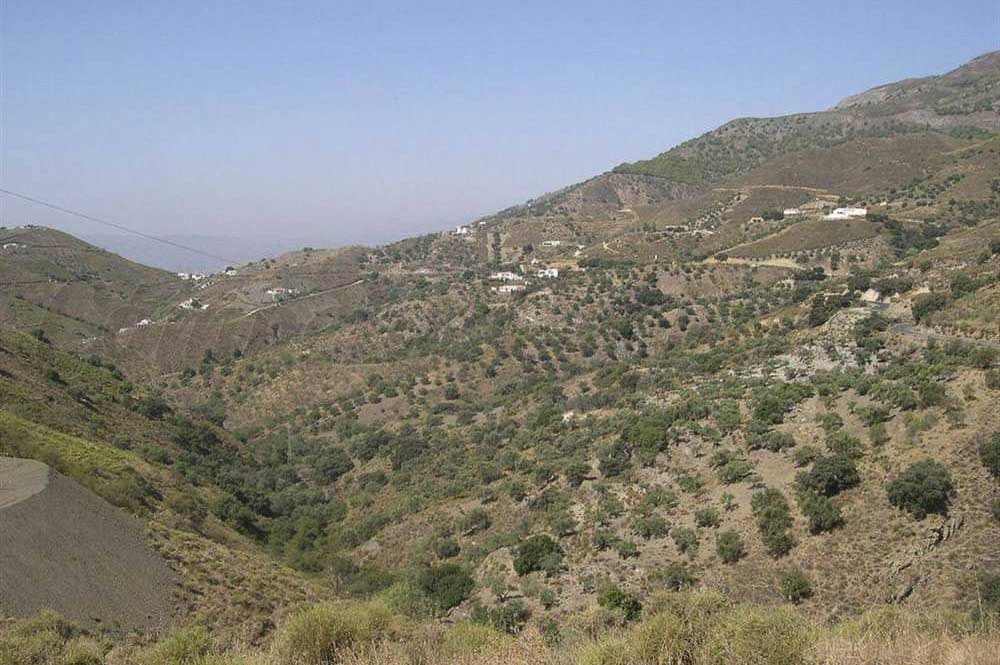 Terrain Rustique à Sedella · Sedella