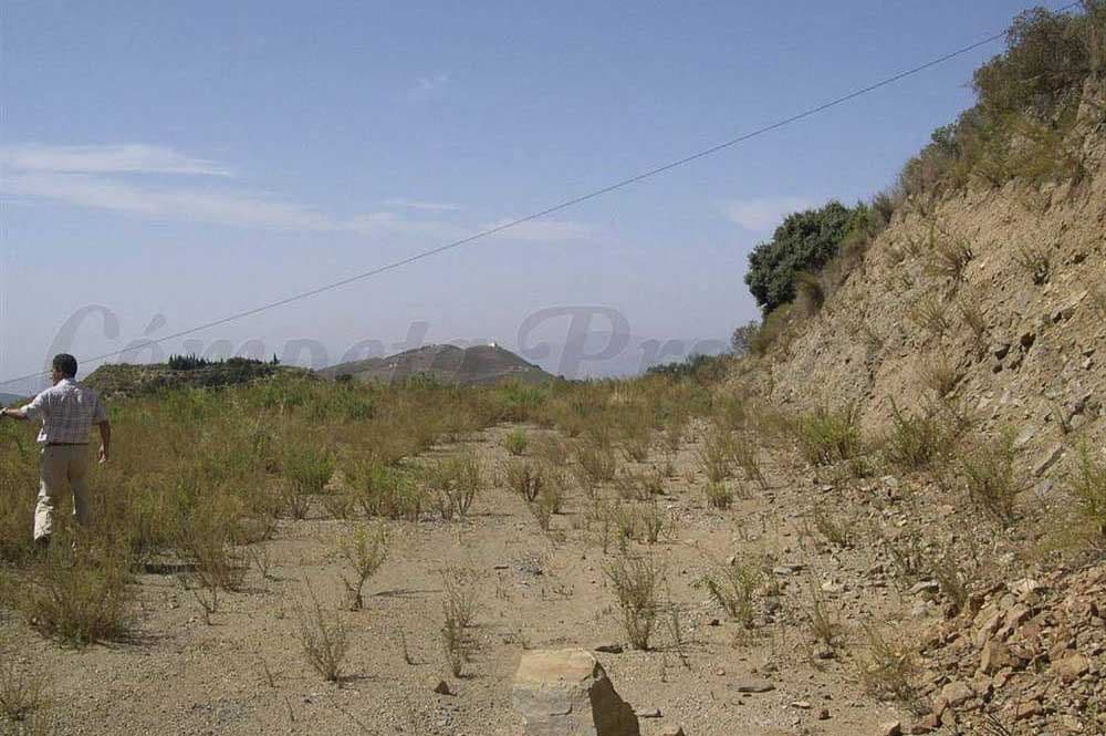 Terrain Rustique à Sedella · Sedella