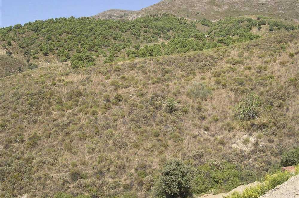 Terrain Rustique à Sedella · Sedella