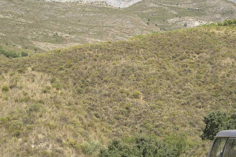 Photo 3 sur 6 — Terrain Rustique à Sedella · Sedella