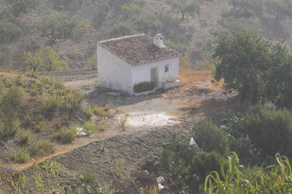 Terrain Rustique à Sedella · Sedella