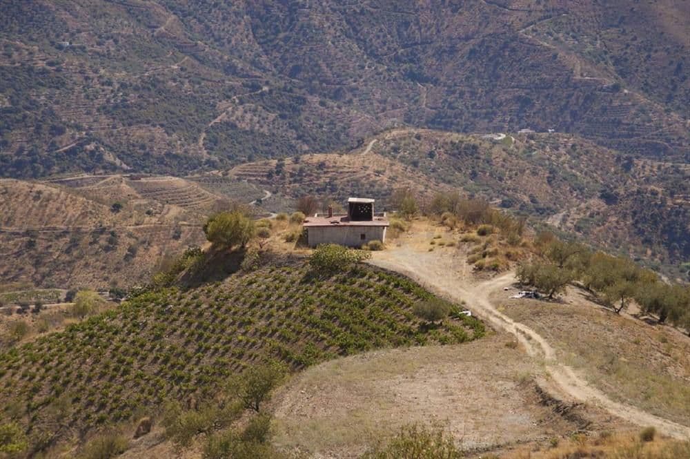 Photo 3 sur 18 — Terrain Rustique à Sedella · Sedella