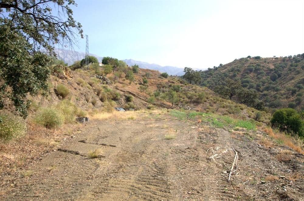 Terrain Rustique à Sedella · Sedella