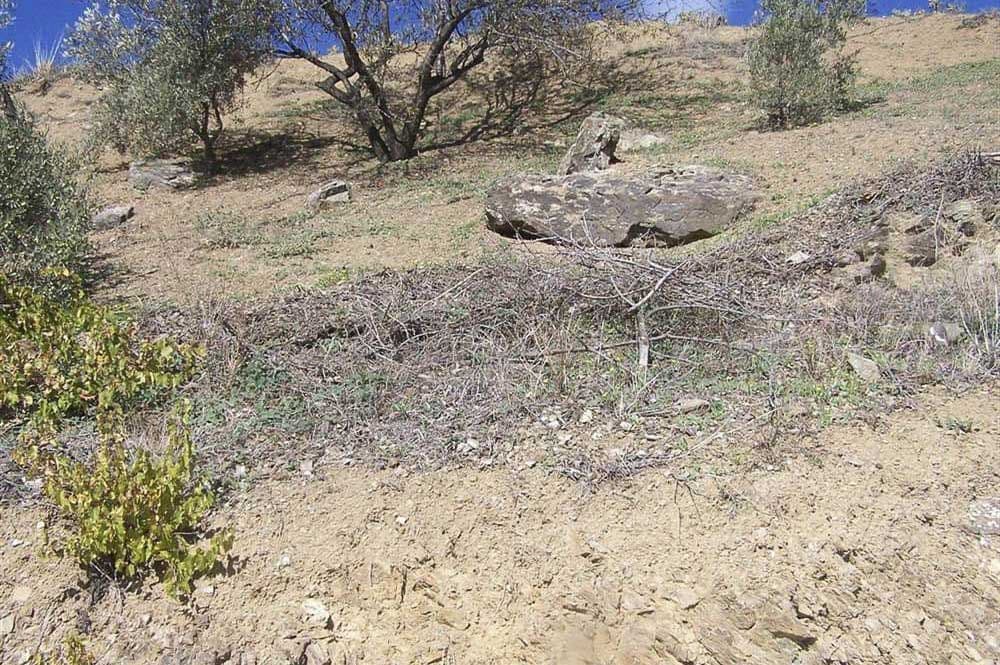 Photo 3 sur 8 — Terrain Rustique à Árchez · Árchez