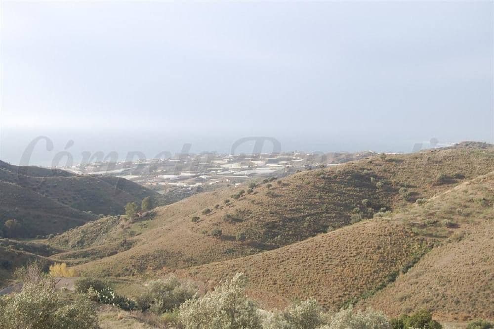 Terrain Rustique à Sayalonga · Sayalonga