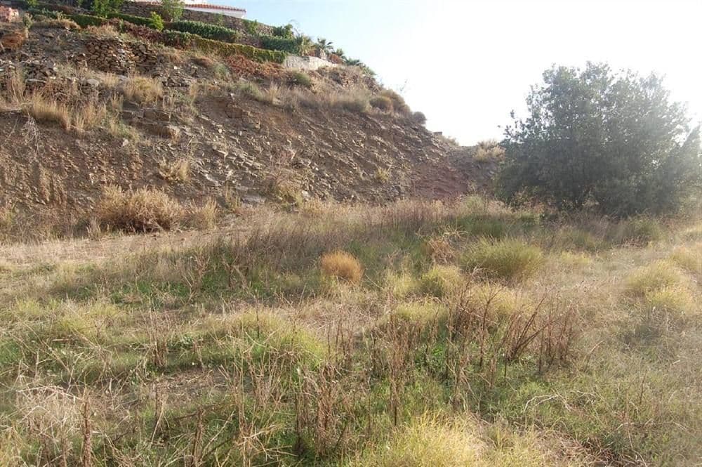 Photo 3 sur 7 — Terrain Rustique à Sayalonga · Sayalonga