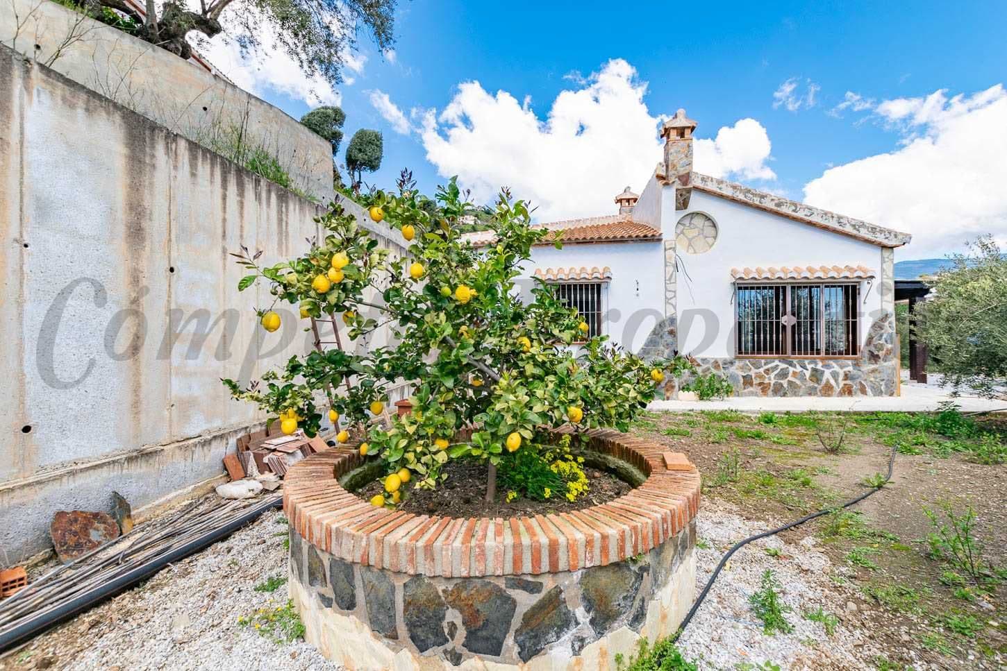 Photo 3 sur 11 — Maison de Campagne à Cómpeta · Cómpeta