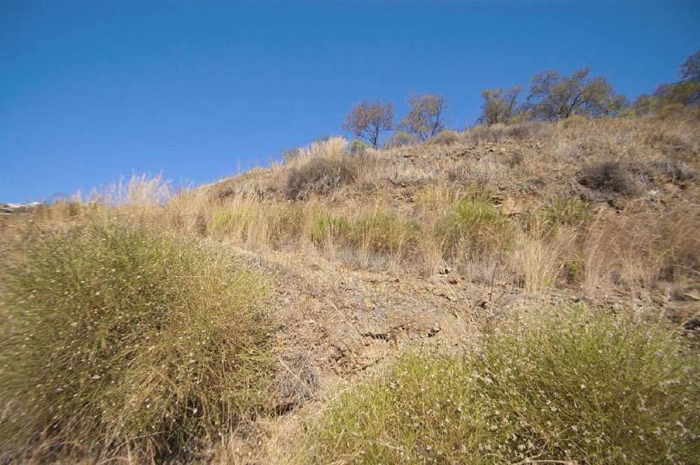 Terrain Rustique à Cómpeta · Cómpeta