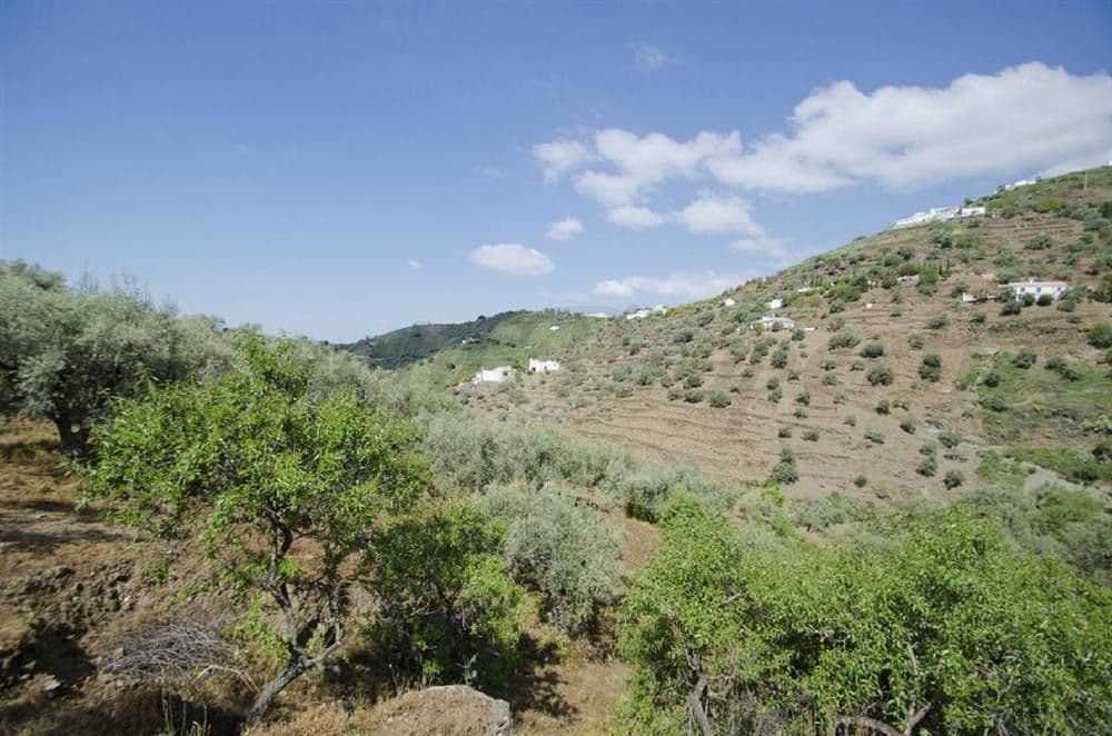 Photo 3 sur 5 — Maison de Campagne à Cómpeta · Cómpeta