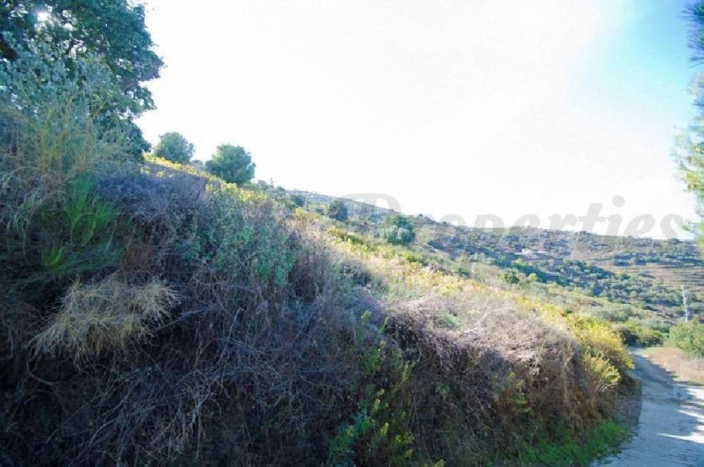 Terrain Rustique à Torrox · Torrox