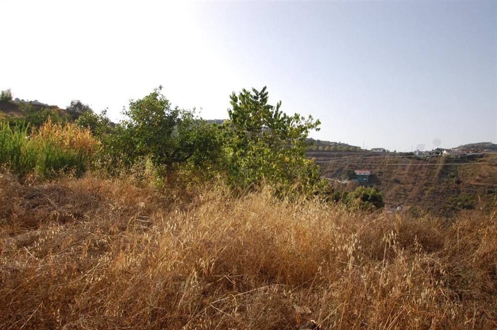 Photo 3 sur 4 — Terrain Rustique à Canillas de Albaida · Canillas de Albaida