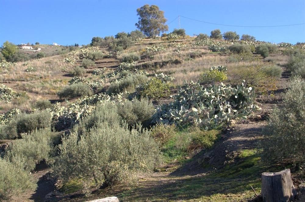Maison de Campagne à Torrox · Torrox