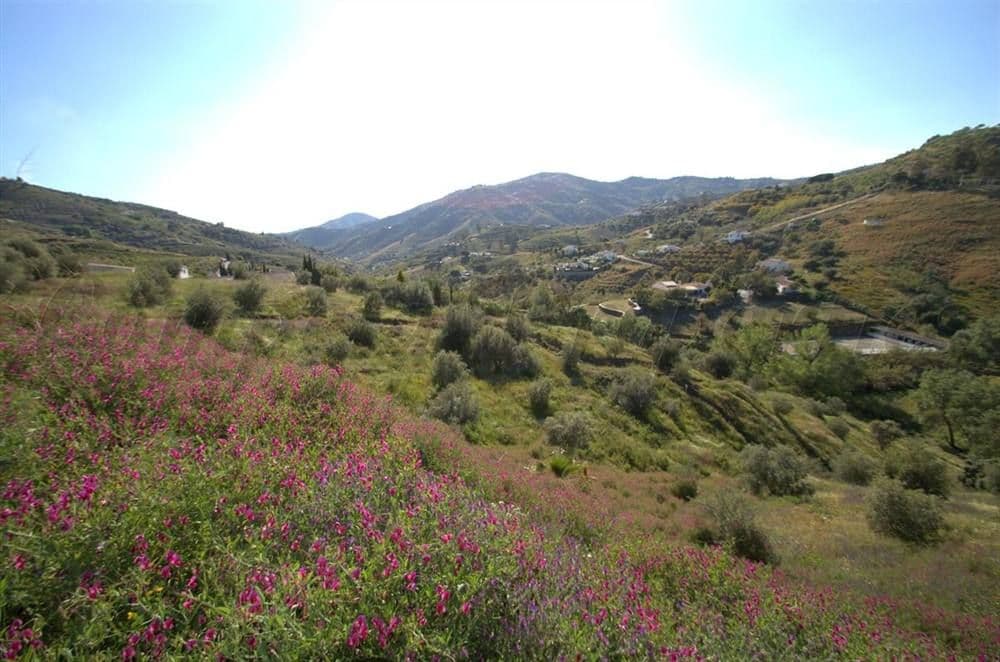 Photo 3 sur 13 — Terrain Rustique à Cómpeta · Cómpeta