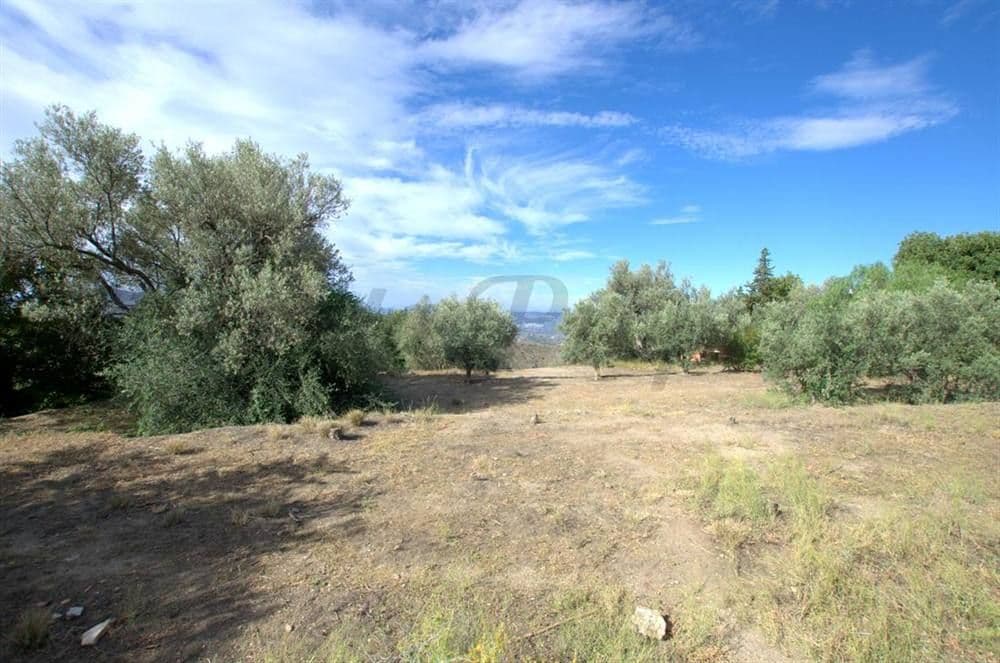 Photo 3 sur 8 — Terrain Urbain à Canillas de Aceituno · Canillas de Aceituno