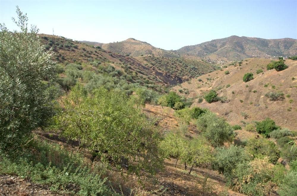 Photo 3 sur 9 — Maison de Campagne à Sedella · Sedella