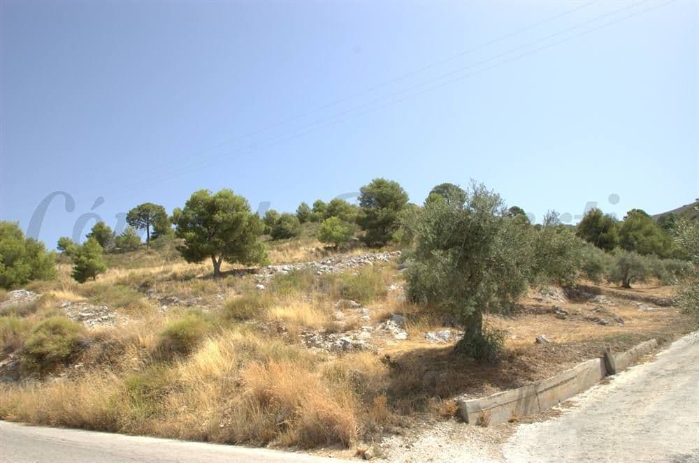 Terrain Rustique à Canillas de Albaida · Canillas de Albaida