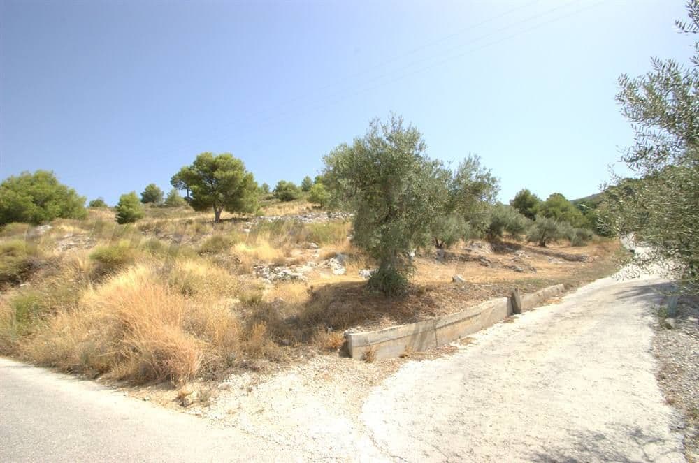 Photo 3 sur 6 — Terrain Rustique à Canillas de Albaida · Canillas de Albaida