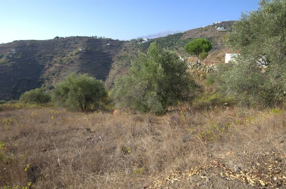 Photo 3 sur 6 — Terrain Rustique à Árchez · Árchez
