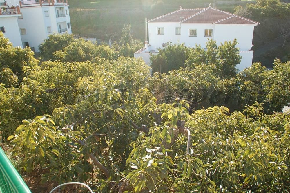 Photo 3 sur 8 — Terrain Urbain à Canillas de Albaida · Canillas de Albaida
