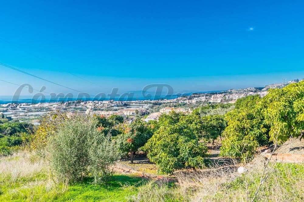 Terrain Urbain à Torrox-Costa · Torrox-Costa