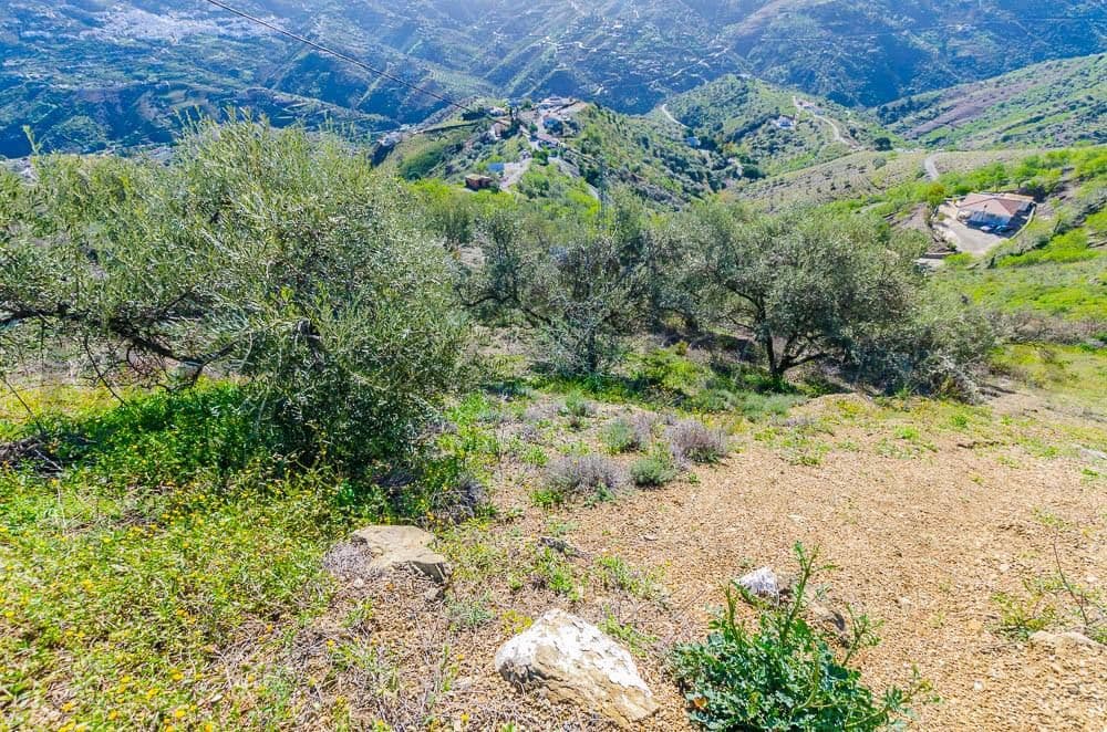 Terrain Rustique à Árchez · Árchez