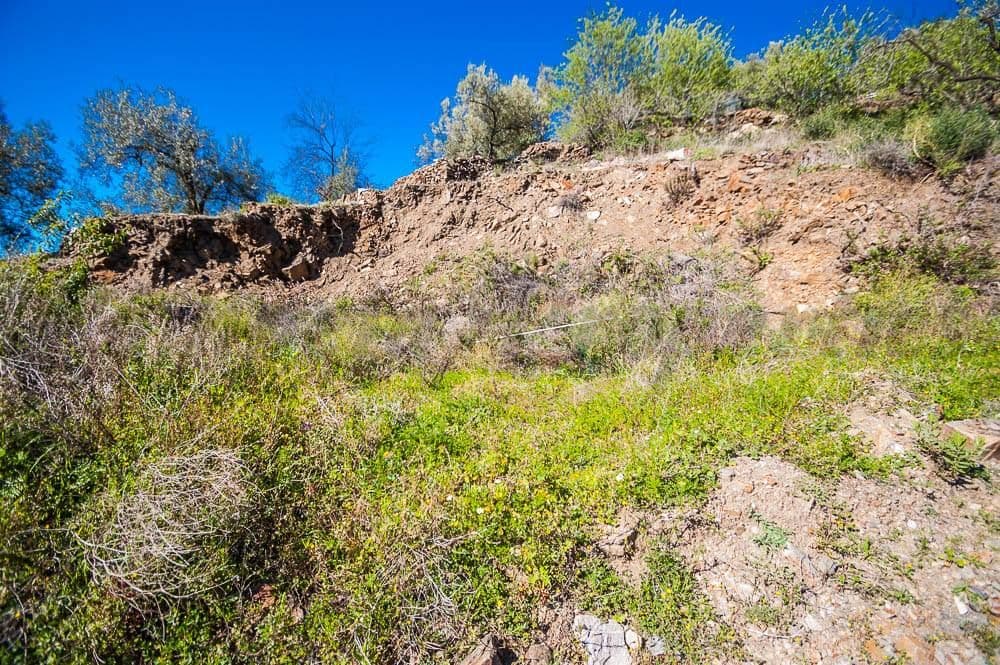 Terrain Rustique à Sayalonga · Sayalonga