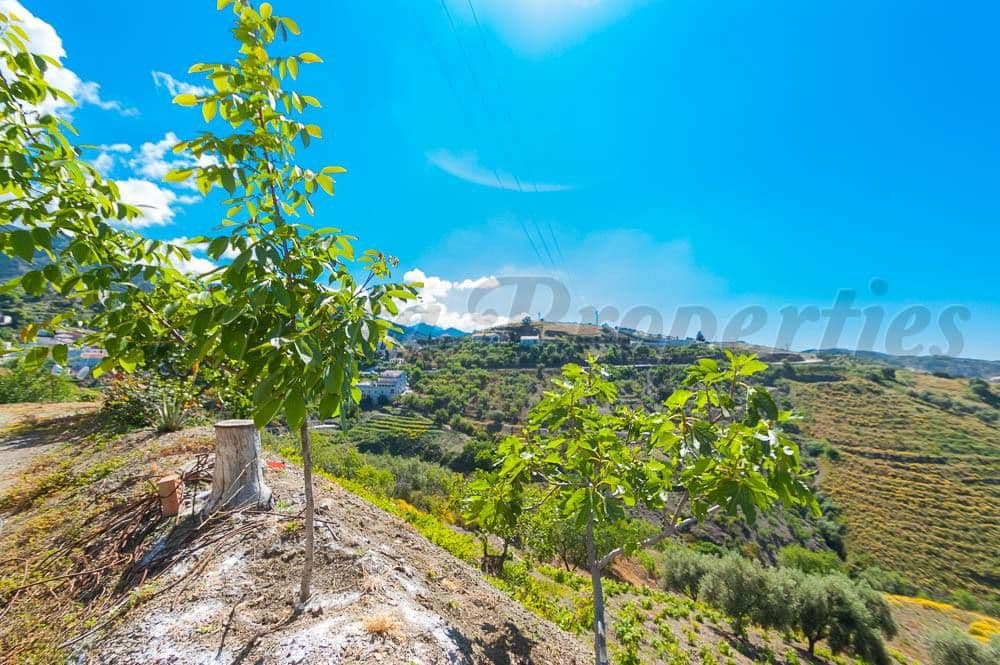 Photo 3 sur 7 — Maison de Campagne à Sedella · Sedella