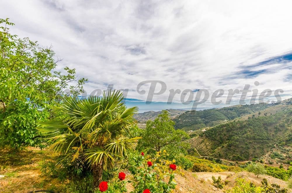 Photo 3 sur 12 — Maison de Campagne à Canillas de Albaida · Canillas de Albaida