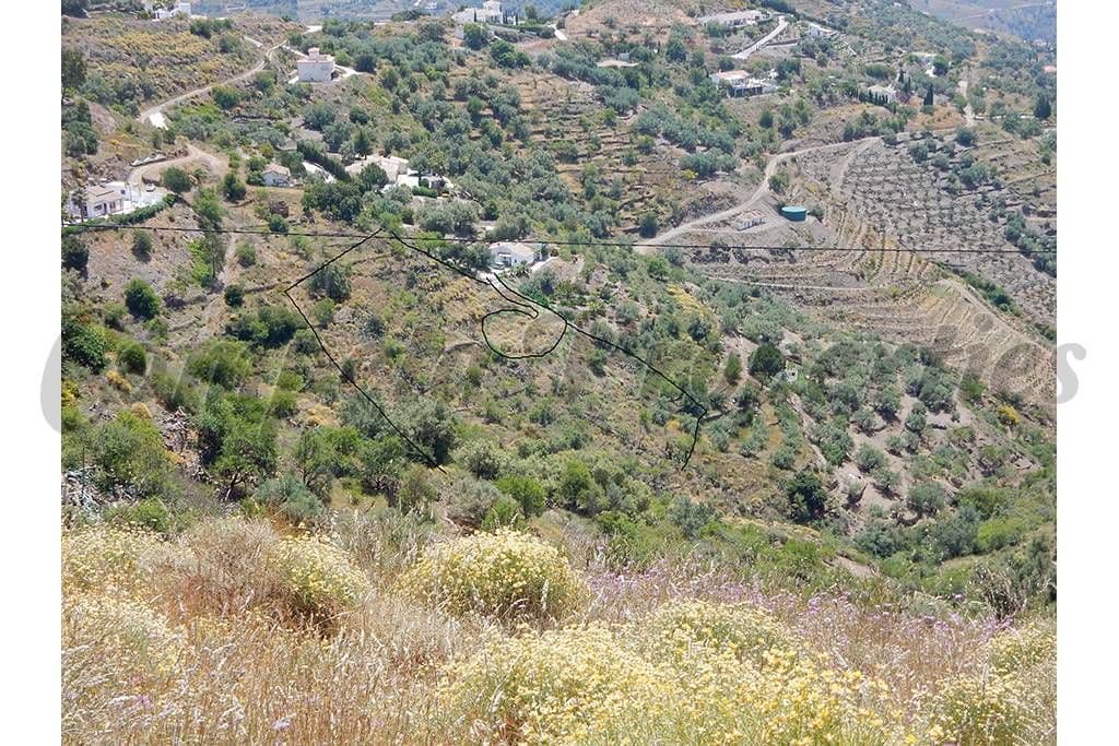 Terrain Rustique à Sayalonga · Sayalonga
