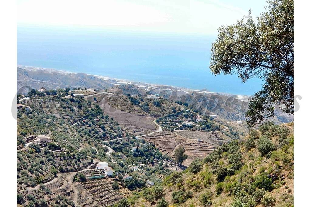 Photo 3 sur 7 — Terrain Rustique à Sayalonga · Sayalonga