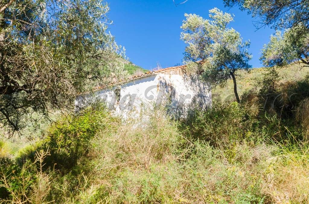 Terrain Rustique à Canillas de Albaida · Canillas de Albaida