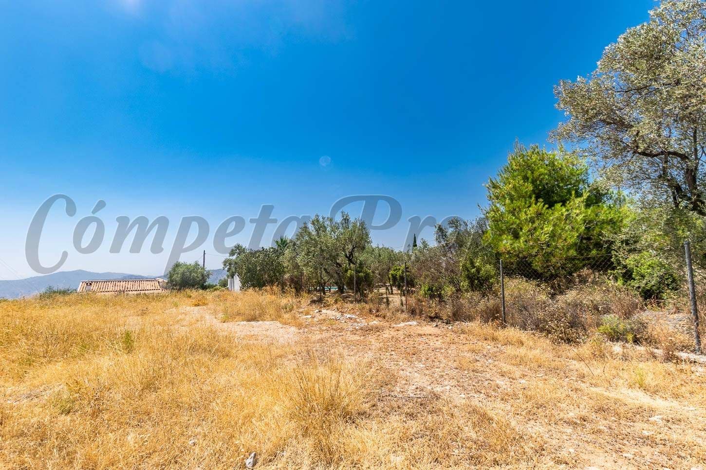 Terrain Rustique à Cómpeta · Cómpeta