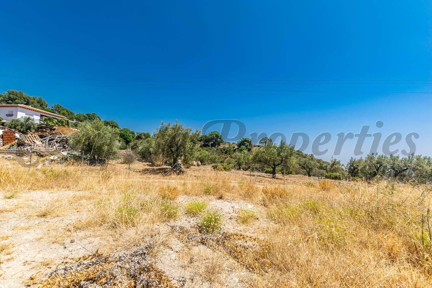 Photo 3 sur 7 — Terrain Rustique à Cómpeta · Cómpeta