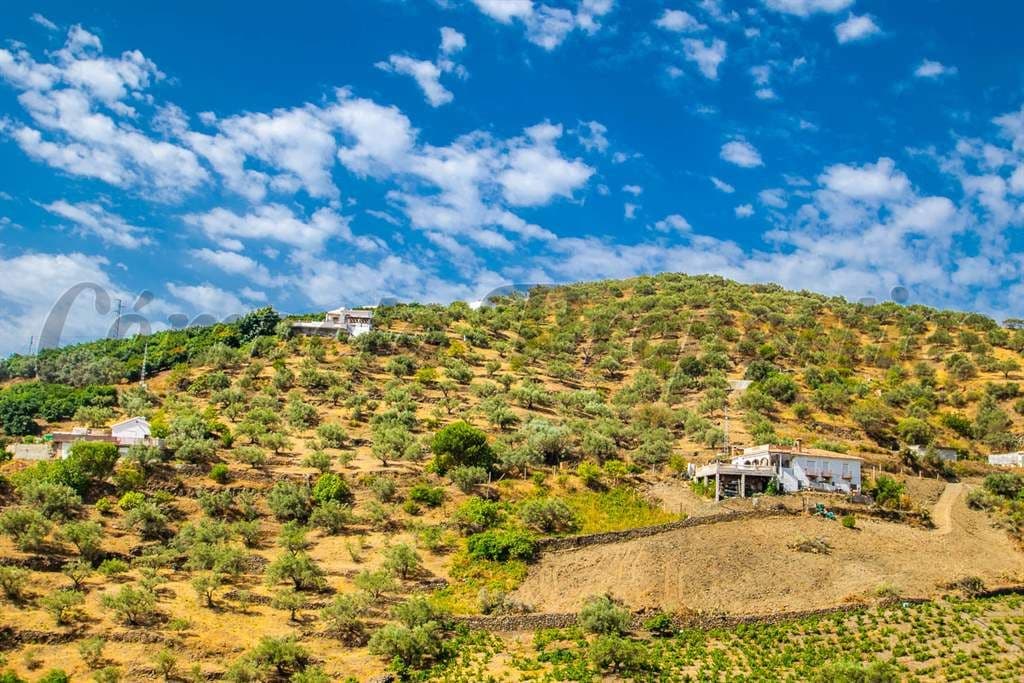 Terrain Rustique à Torrox · Torrox