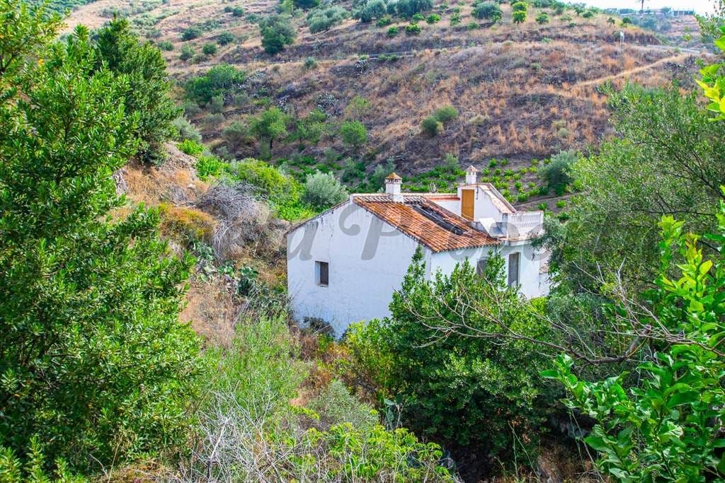 Terrain Rustique à Torrox · Torrox