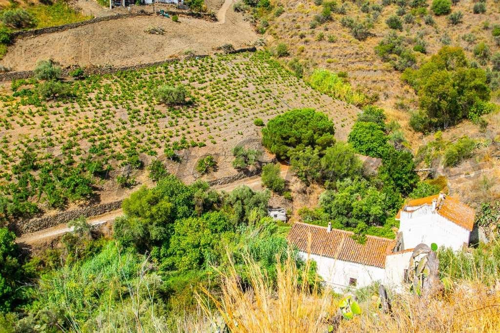 Photo 3 sur 6 — Terrain Rustique à Torrox · Torrox