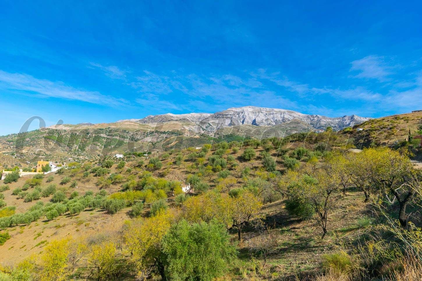 Terrain Rustique à Sedella · Sedella