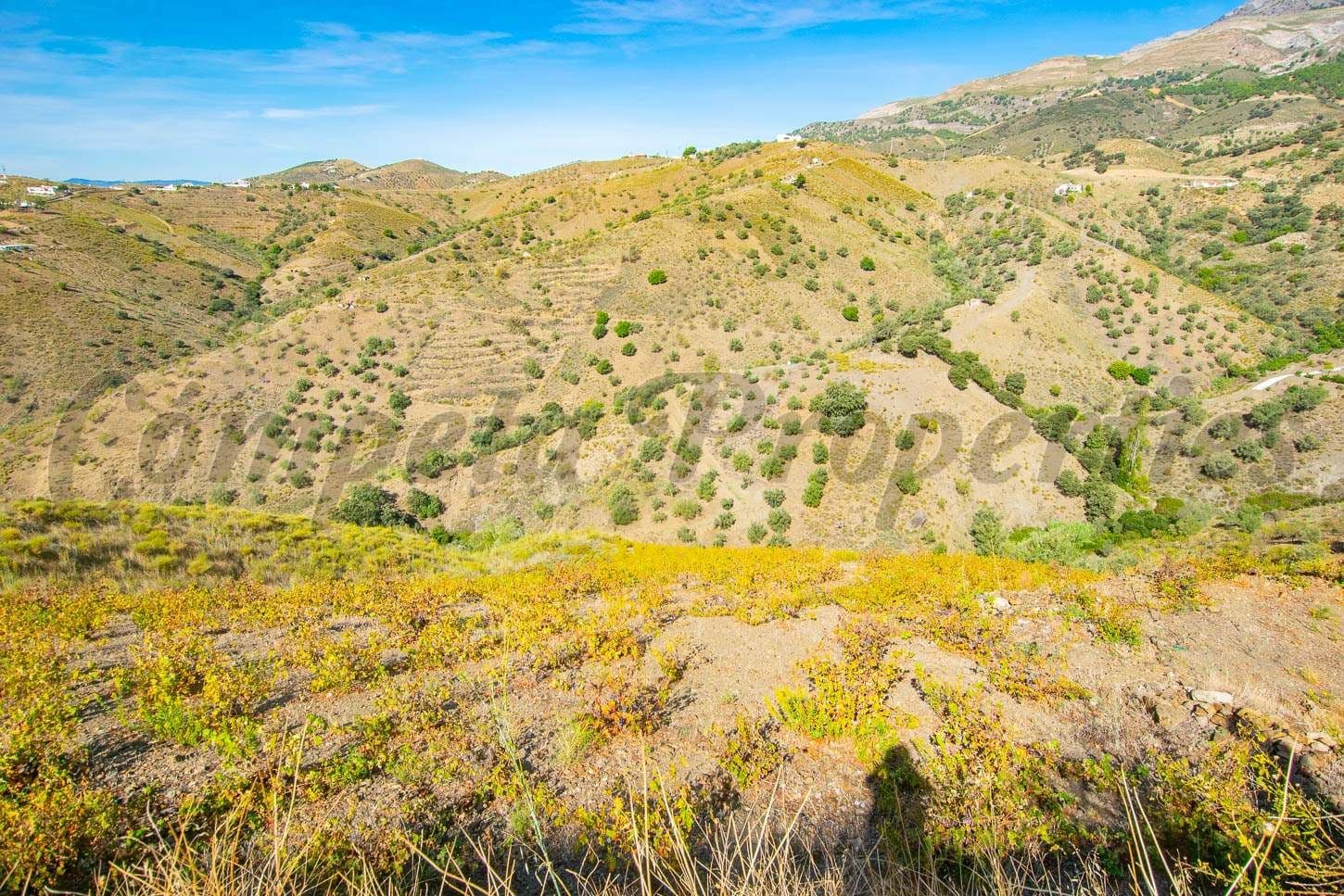 Terrain Rustique à Sedella · Sedella