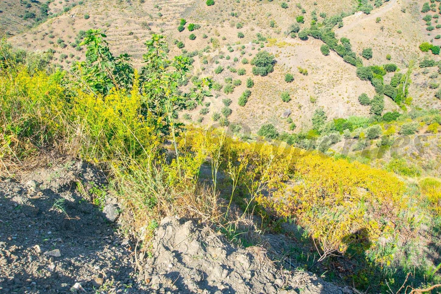 Photo 3 sur 4 — Terrain Rustique à Sedella · Sedella