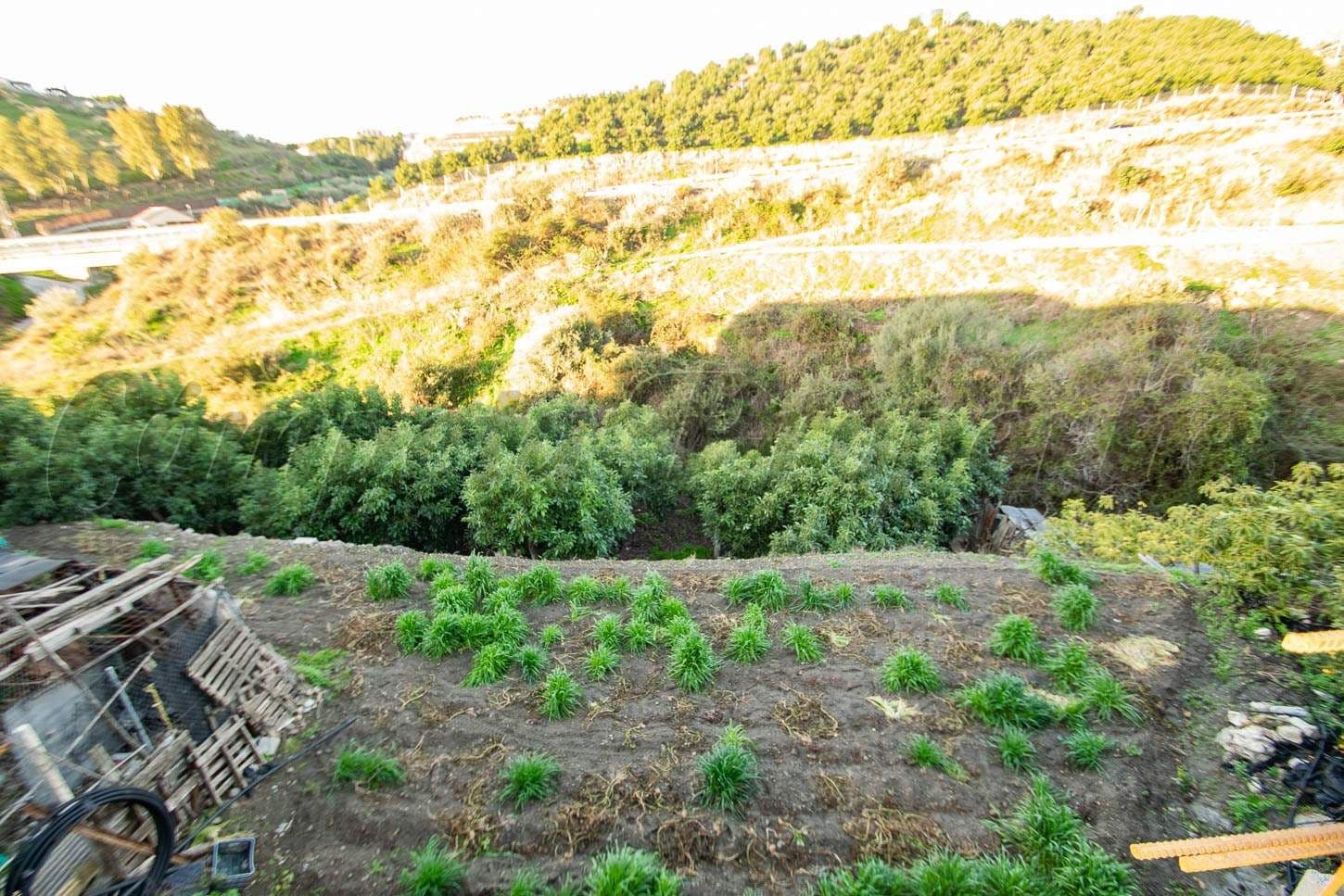 Terrain Urbain à Torrox · Torrox