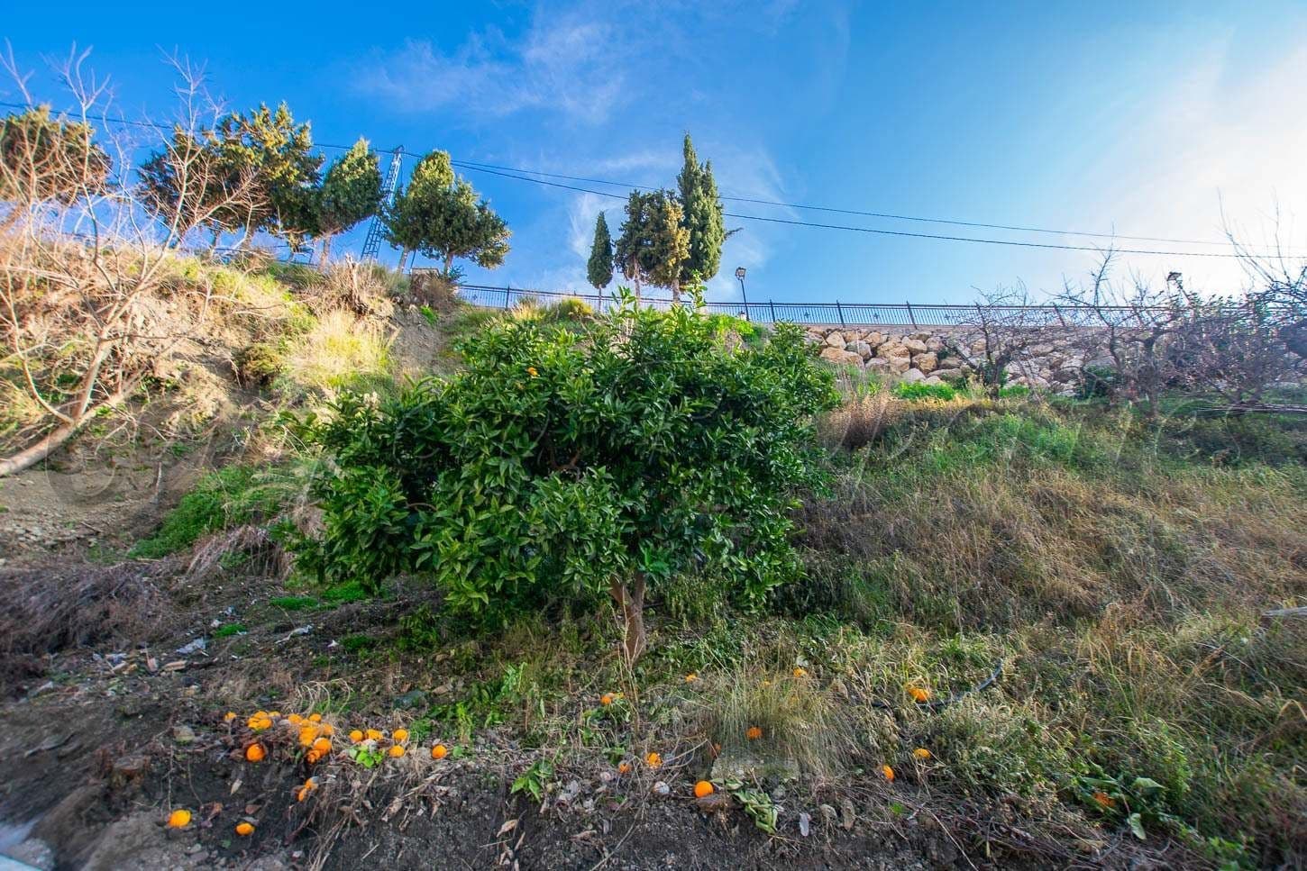 Terrain Rustique à Canillas de Albaida · Canillas de Albaida