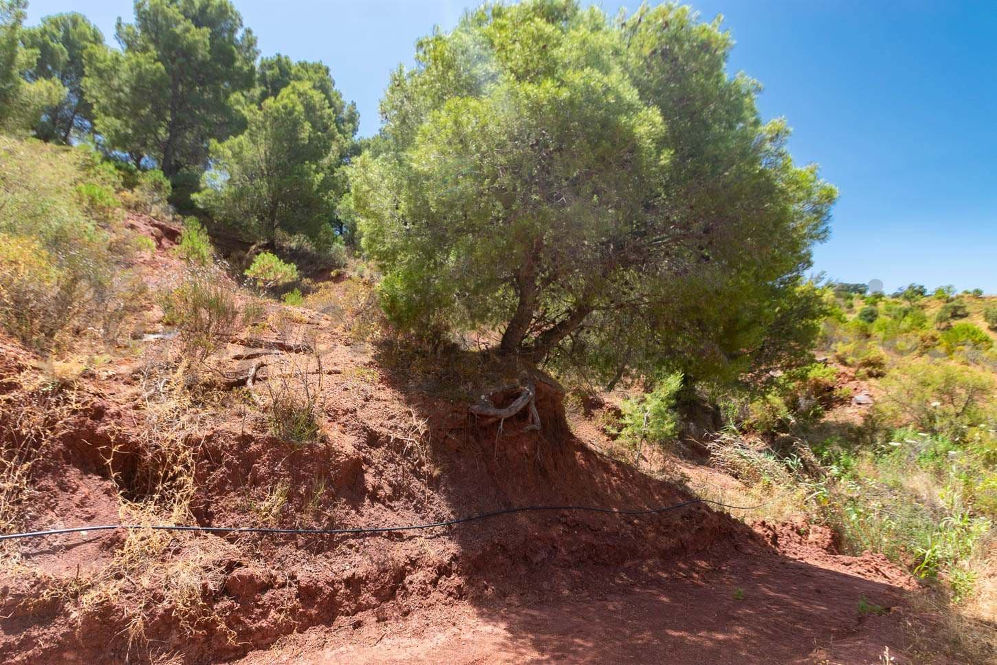 Photo 3 sur 12 — Terrain Rustique à Ardales · Ardales