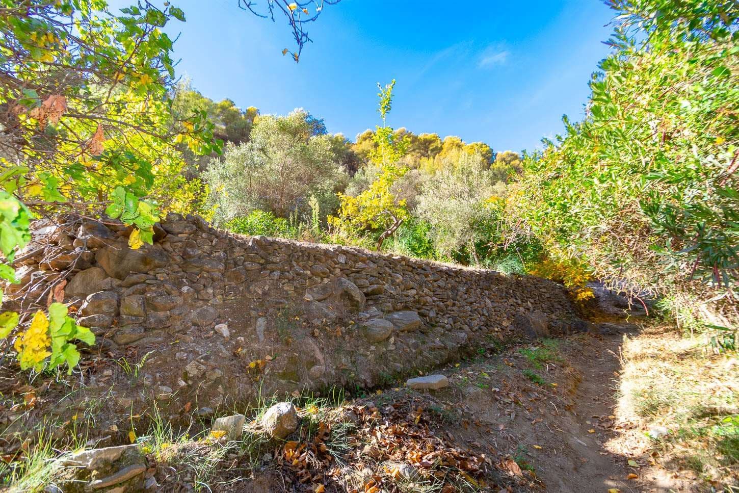 Photo 3 sur 7 — Terrain Rustique à Canillas de Albaida · Canillas de Albaida