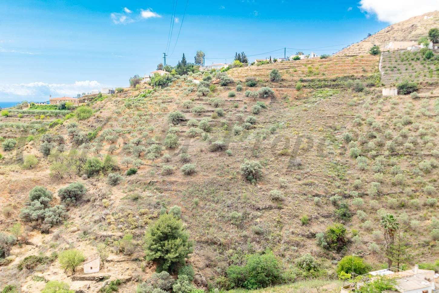 Terrain Rustique à Torrox · Torrox