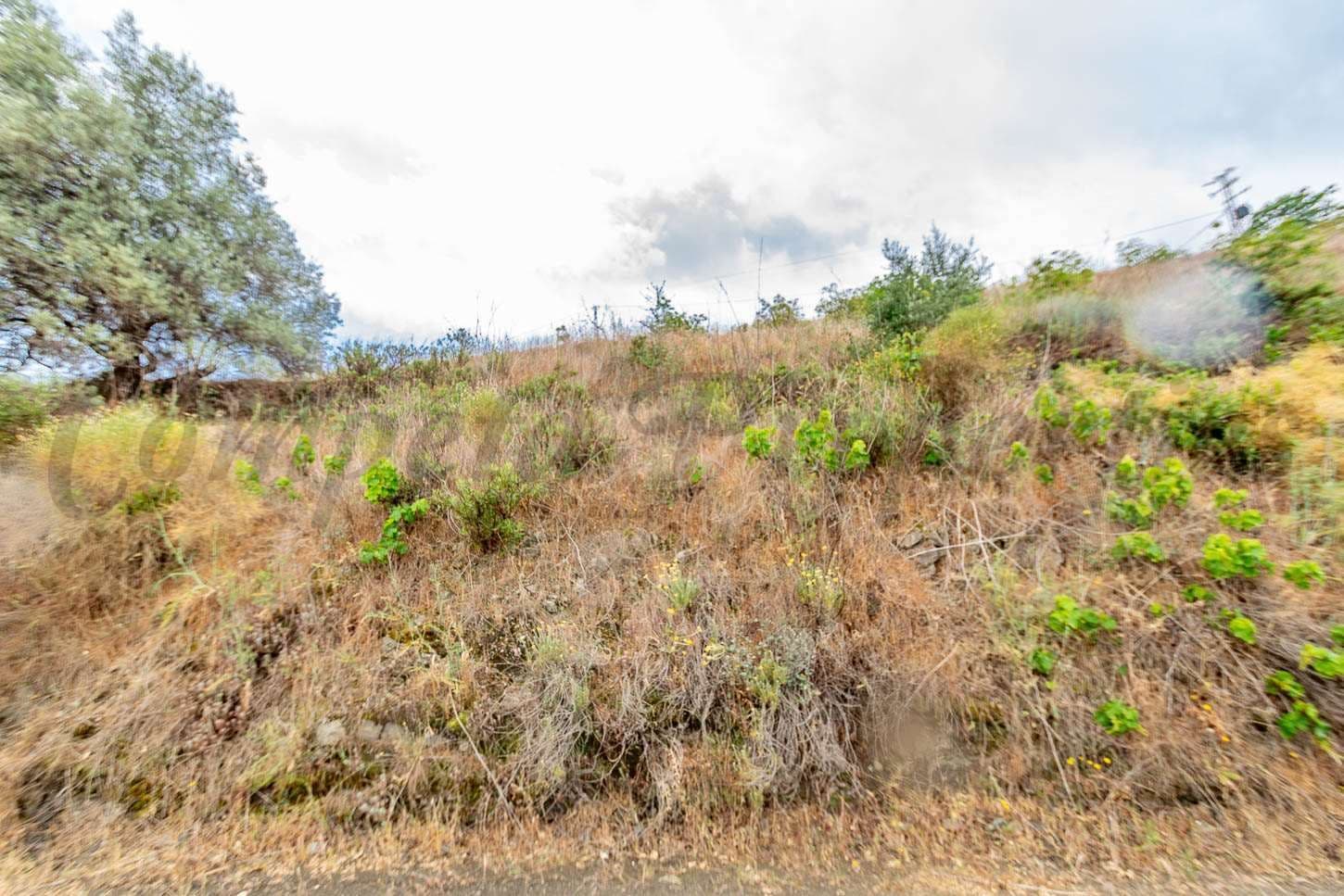 Photo 3 sur 8 — Terrain Rustique à Torrox · Torrox