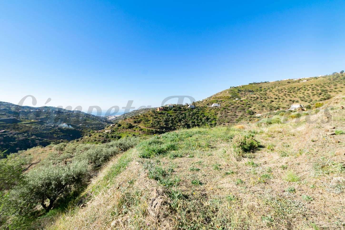 Photo 3 sur 6 — Terrain Rustique à Torrox · Torrox