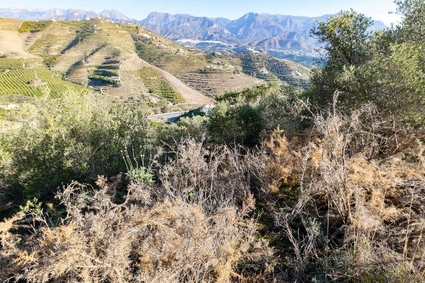 Terrain Rustique à Nerja · Nerja