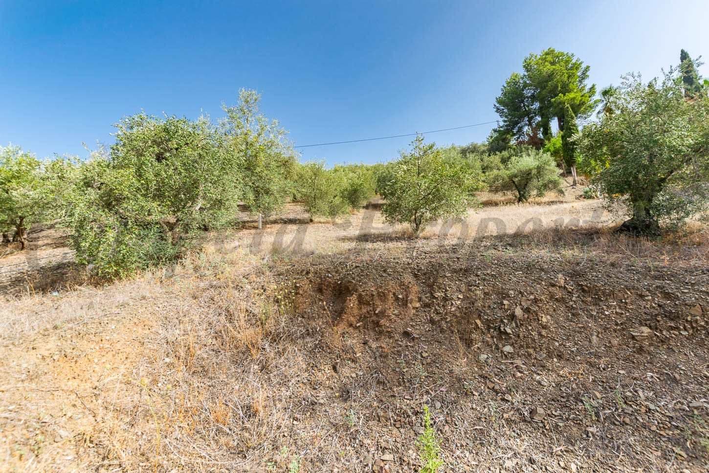 Photo 3 sur 5 — Terrain Rustique à Salares · Salares