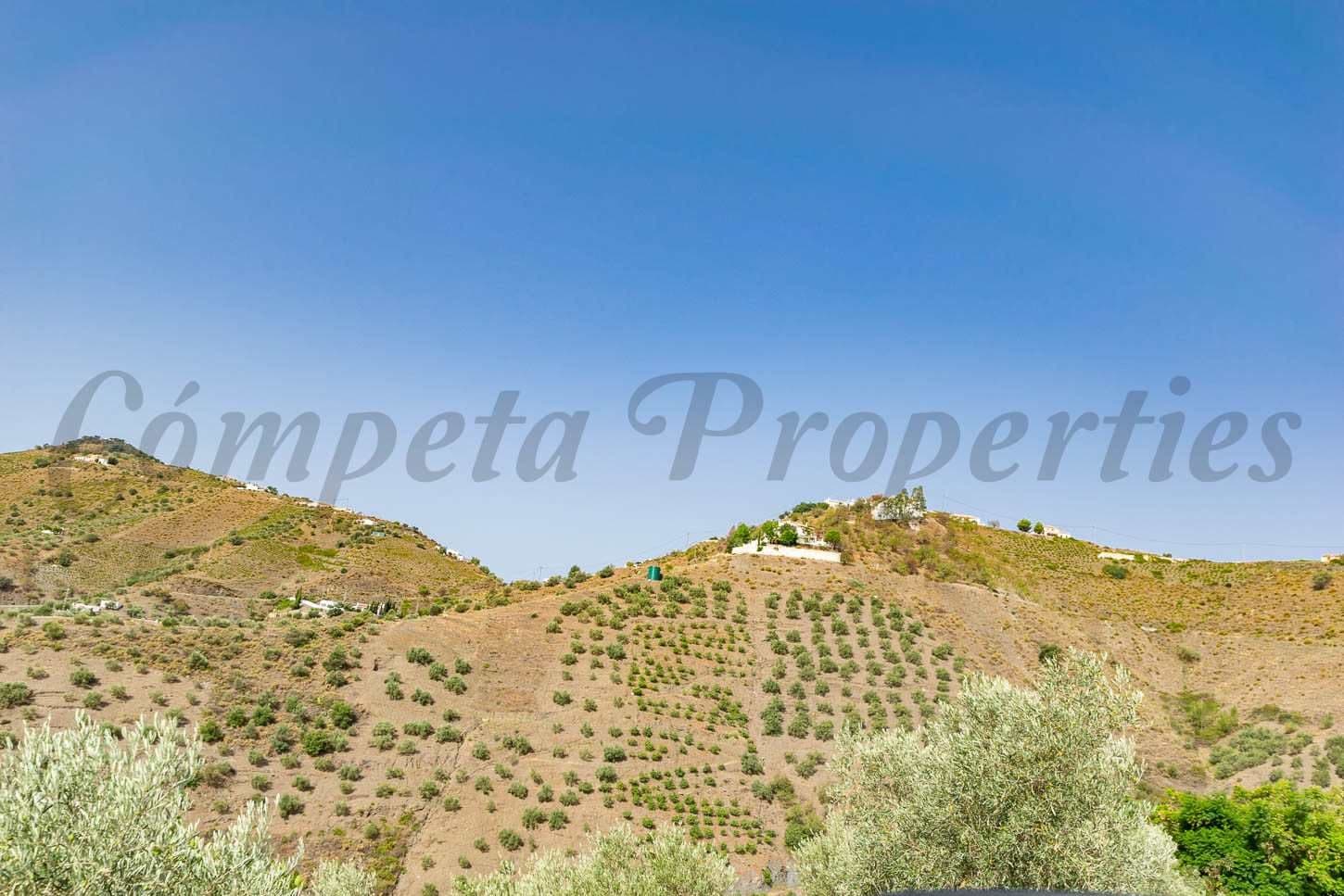 Photo 3 sur 7 — Terrain Rustique à Canillas de Albaida · Canillas de Albaida