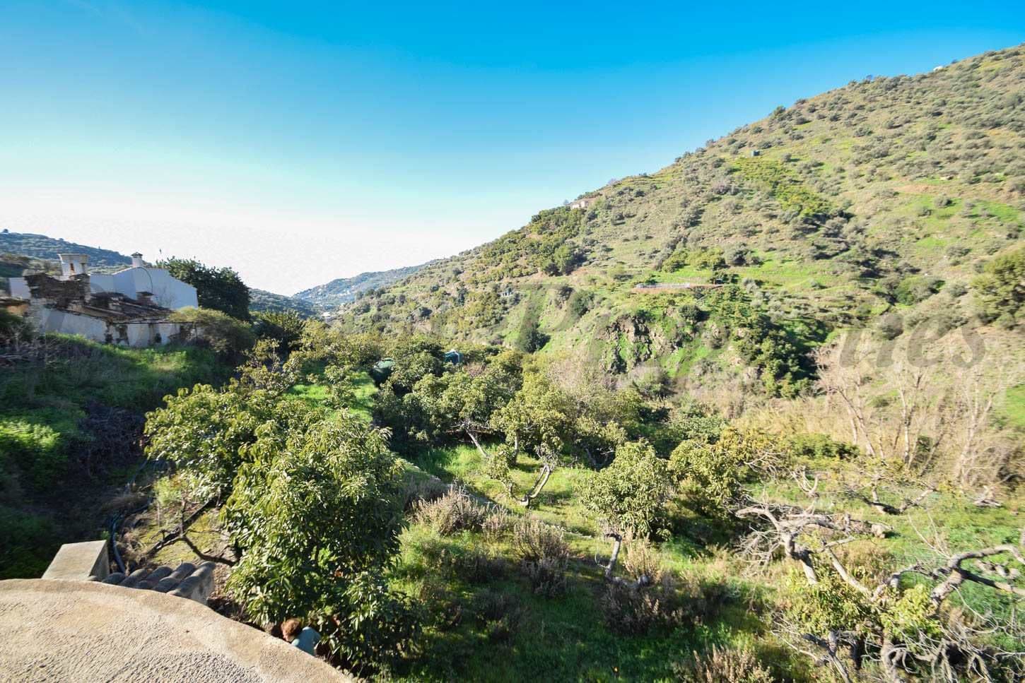 Terrain Rustique à Torrox · Torrox